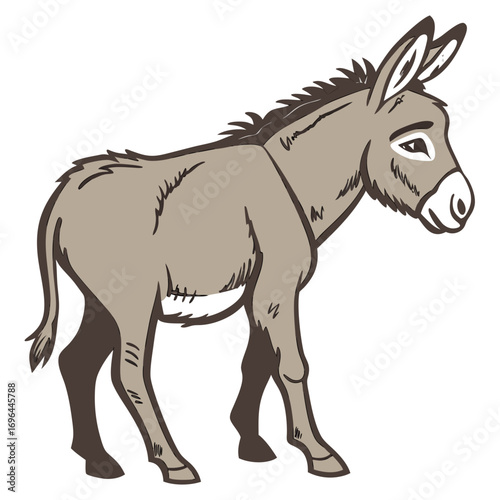 Illustration of a donkey standing