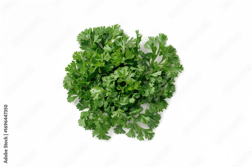 Obraz premium Top view of dried parsley on a white surface