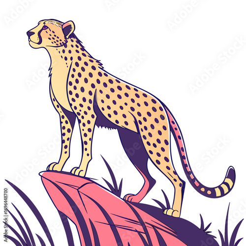 Cheetah standing on a rock