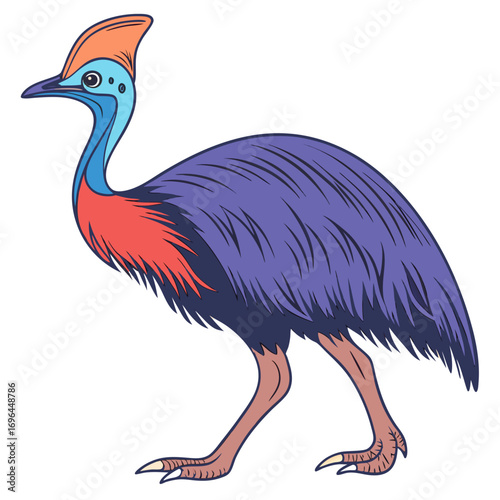 Illustration of a colorful cassowary bird