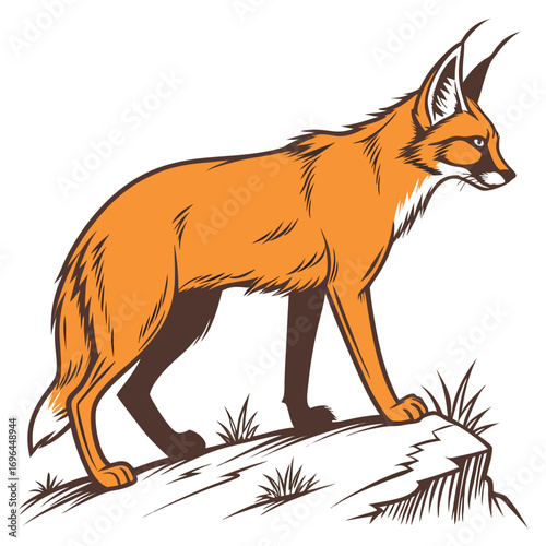 Maned wolf standing on a rock