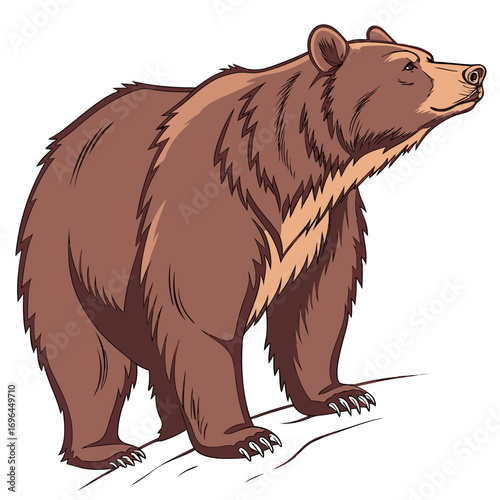 A brown bear stands on a snowy slope, looking to the right