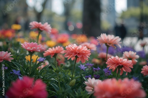 Detailed view of flowers in...