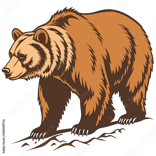 Grizzly bear illustration