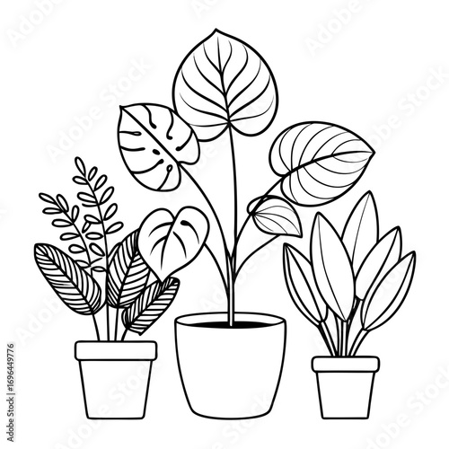Minimalist Scandinavian Line Art House Plants Vector