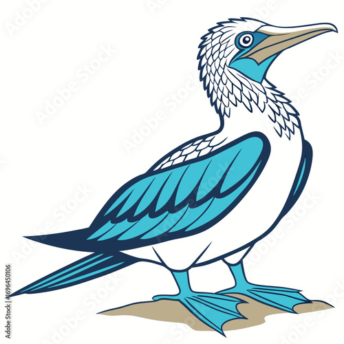 Bluefooted booby bird