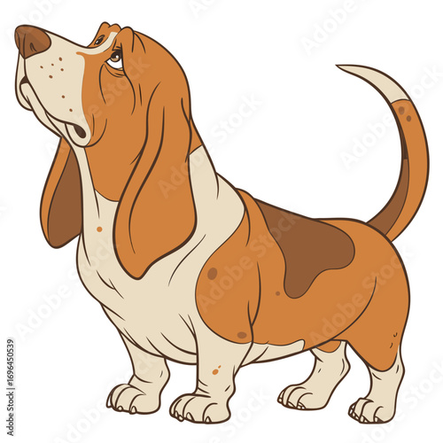 Cartoon basset hound dog standing and looking up