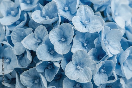 Detailed view of a pale blu...