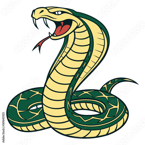 Aggressive cobra snake with hood flared
