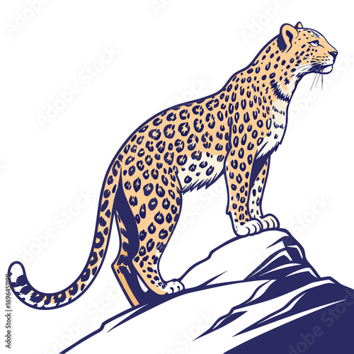 Leopard standing on a rock