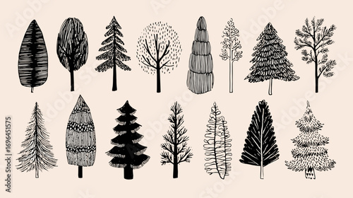 Vintage illustration of various tree species on a background.