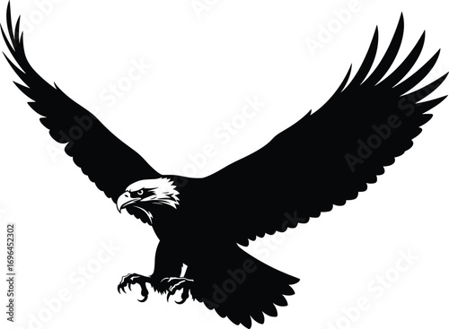 Bald eagle vector silhouette, aggressive flying raptor with wings spread and talons out, black and white bird of prey illustration design