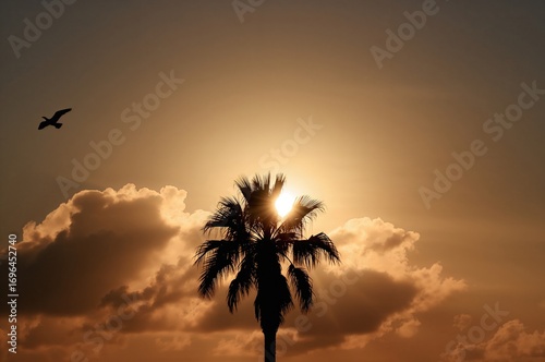 Silhouette of a tropical pa...