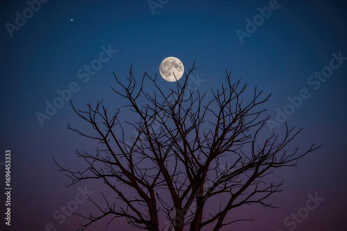 Night Sky Gradient Featurin...