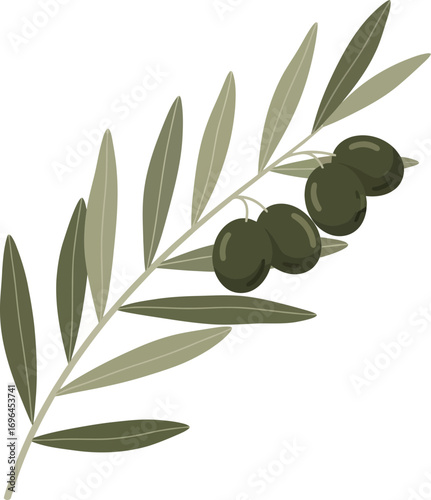 Illustration of an olive branch, a symbol of peace and victory