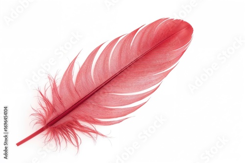 Graceful crimson plume set ...