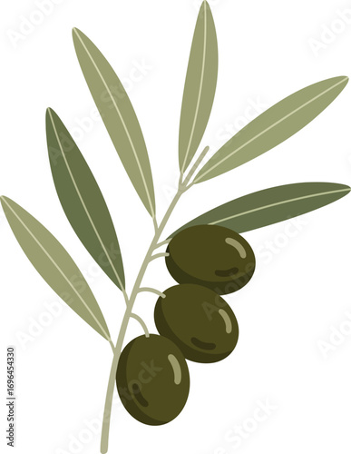 Vector art of olive branch with green olives, , simple illustration