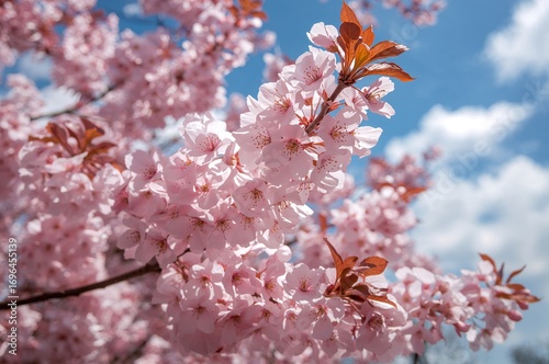 Detailed close-up of numero...