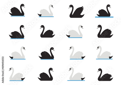 Black  white swans are arranged in a grid some on blue water