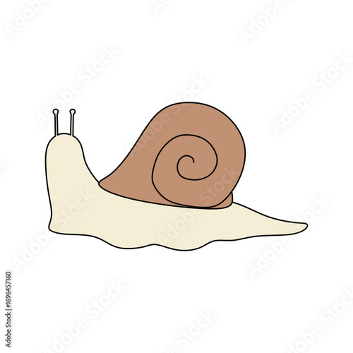 snail vector illustration