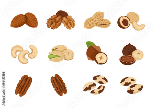 Nut variety almonds walnuts peanuts hazelnuts cashews pistachios pecans and brazil nuts on a white background