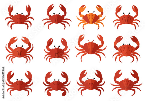 Twelve cartoon crabs in rows of four with varied carapace patterns and claw styles all on a white background