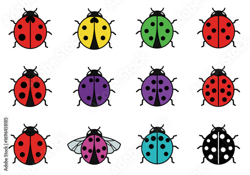Twelve colorful ladybugs with patterned shells displayed in a 3x4 grid
