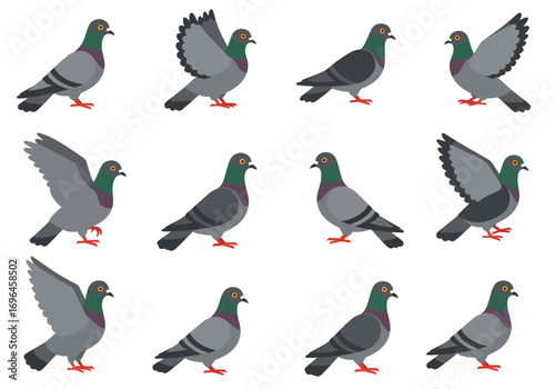 Twelve pigeon illustrations in various poses against a white background