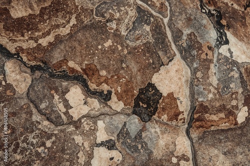 Detailed close-up of a larg...