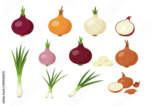 Image shows variety of onions bulbs and leaves including red yellow  white onions as well as sliced onions and green scallions