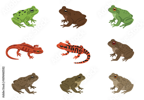 Nine amphibian cartoon illustrations frogs toads  newts on a white background