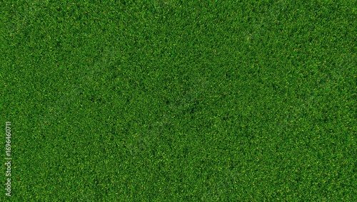 Synthetic turf surface with...