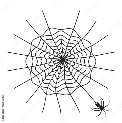 A macro close-up of a black spider arachnid on its sharp web pattern a dangerous animal symbol from nature