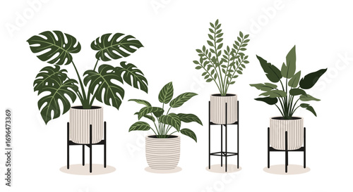 Collection of lush green houseplants in stylish modern planters on black metal stands arranged for interior decor showcase