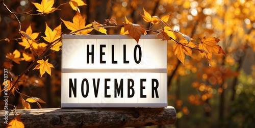 hello november - the month of november