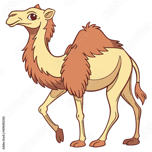 Cartoon camel