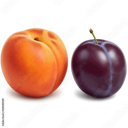Juicy Peach and Plum A Delightful Duo of Summer Fruits