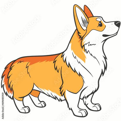 Cute pembroke welsh corgi dog standing