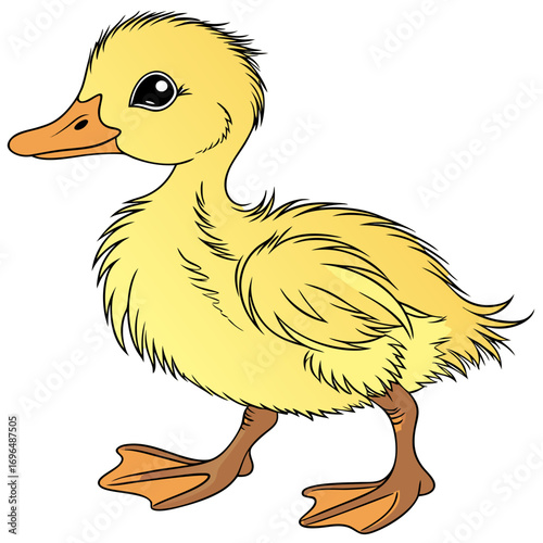 Cute yellow duckling