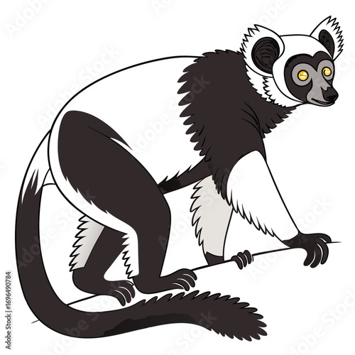 Black and white ruffed lemur sitting on a branch
