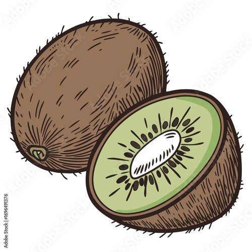 Illustration of a whole kiwi fruit and a half kiwi fruit