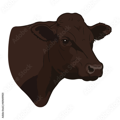 cow vector illustration