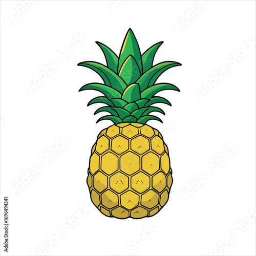 Illustration of a pineapple, tropical fruit art