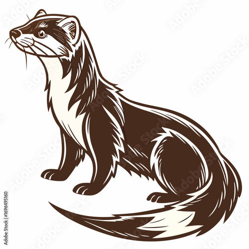 Brown ferret