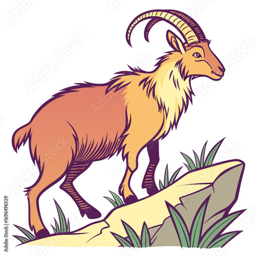 Illustration of a mountain goat standing on a rock