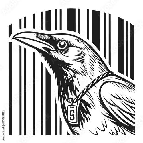 head of a eagle