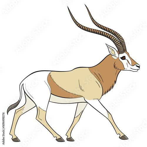 Illustration of a scimitarhorned oryx walking