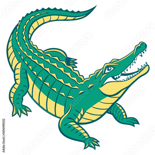 Green alligator with yellow belly