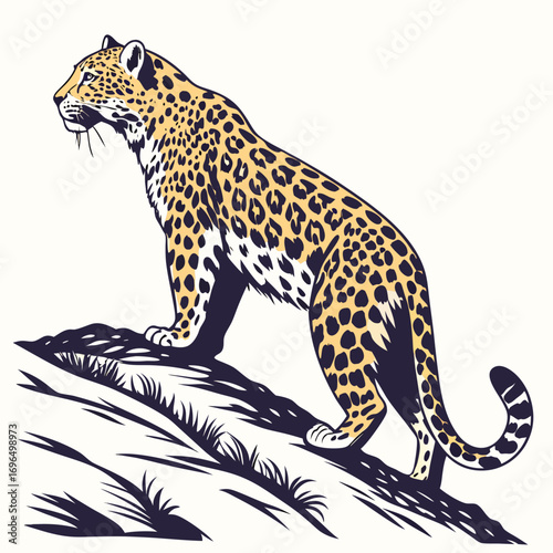 Leopard standing on a rocky outcrop