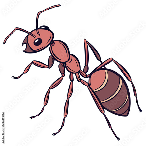 Illustration of a red ant isolated on a